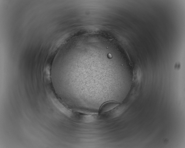 X0000112920238200909080941