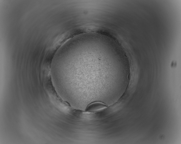 X0000112920240200909080941