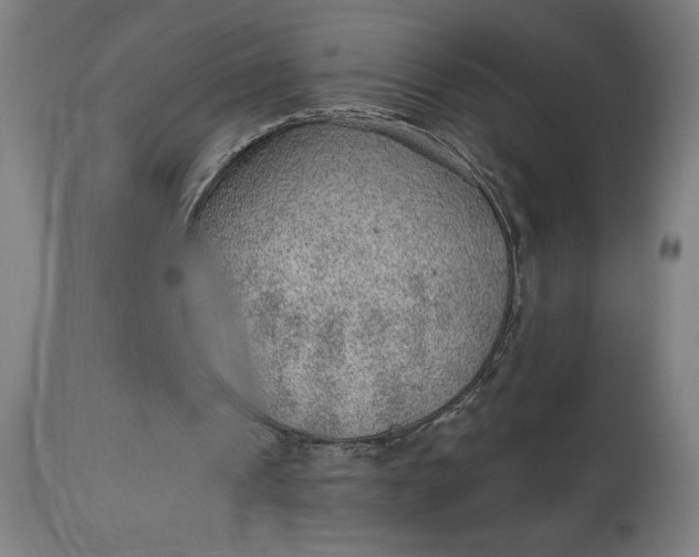 X0000112920241200909080940