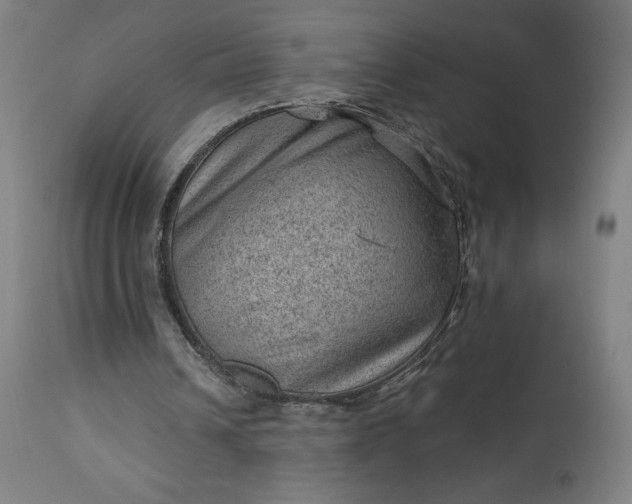 X0000112920242200909080940