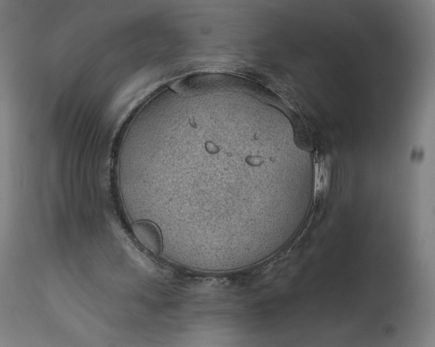 X0000112920243200909080940