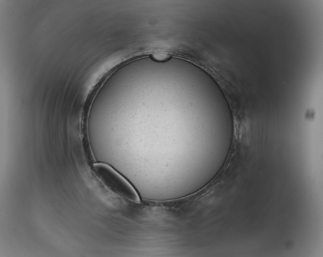X0000112920244200909080940