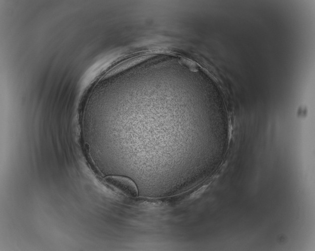 X0000112920245200909080940