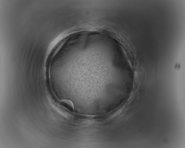 X0000112920246200909080940