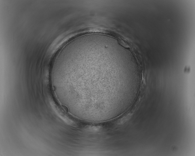 X0000112920247200909080940