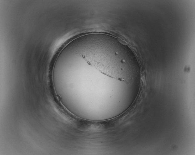 X0000112920248200909080940