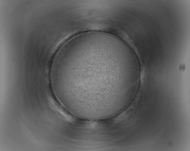 X0000112920249200909080940