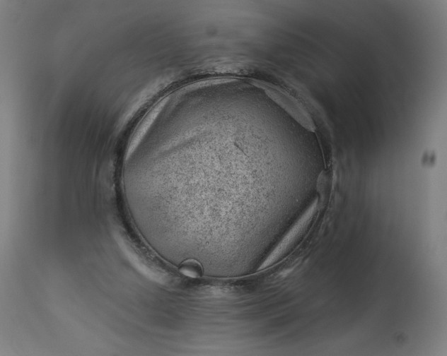 X0000112920250200909080940