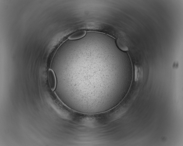 X0000112920252200909080940