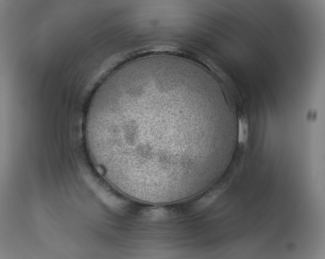 X0000112920253200909080940