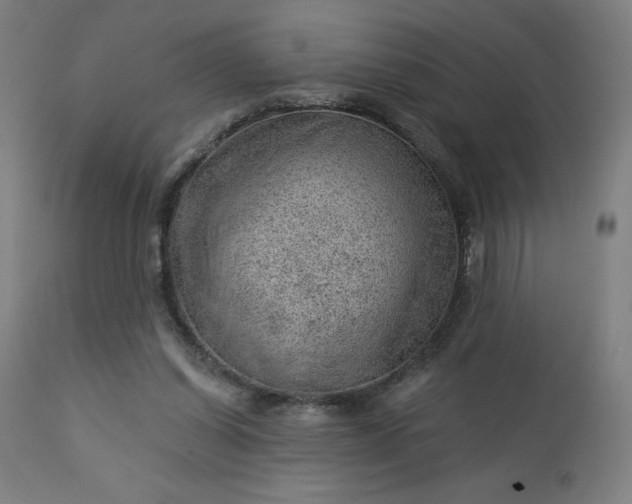X0000112920254200909080940