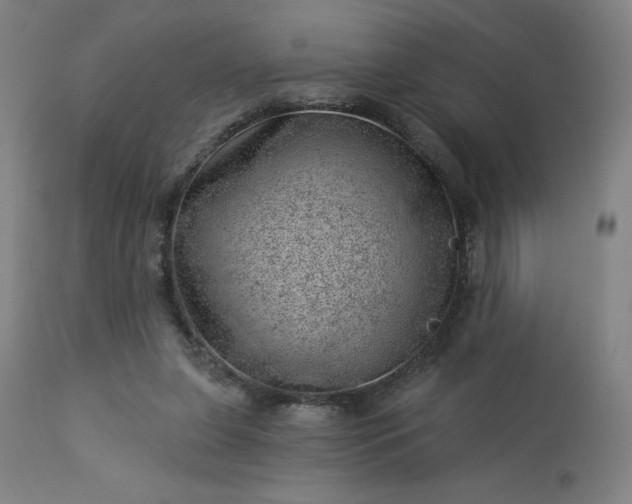 X0000112920255200909080940