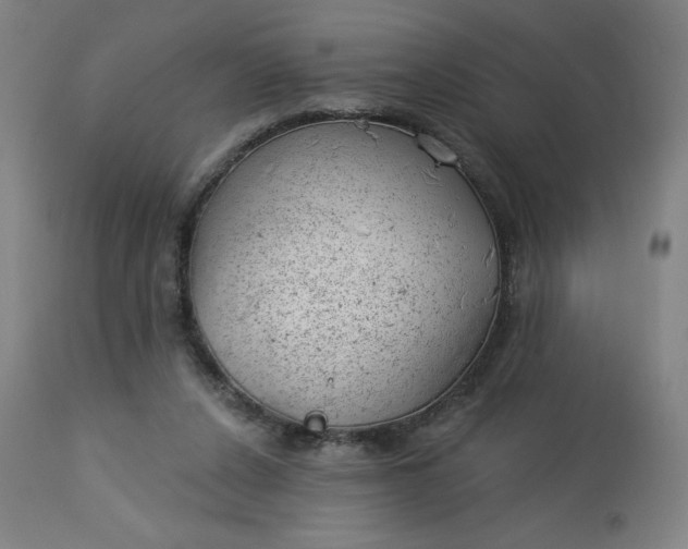 X0000112920256200909080940