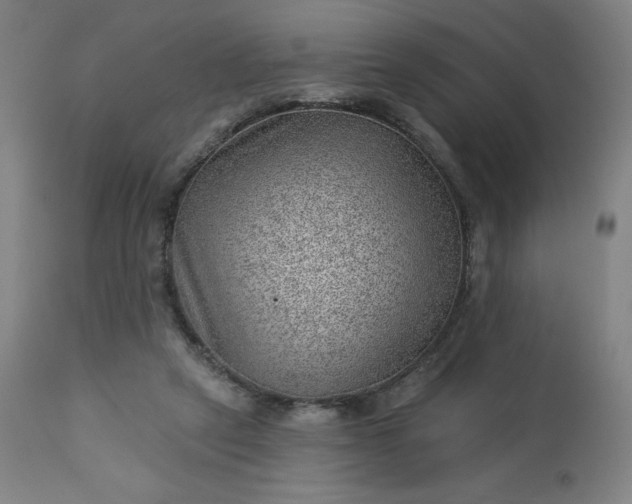 X0000112920257200909080940