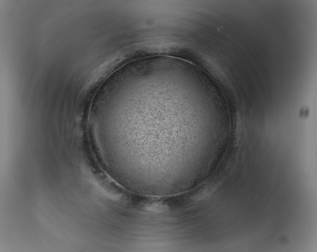 X0000112920258200909080940