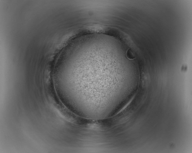 X0000112920259200909080940
