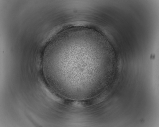 X0000112920261200909080940