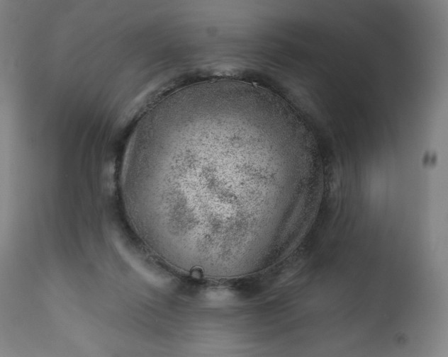 X0000112920262200909080940