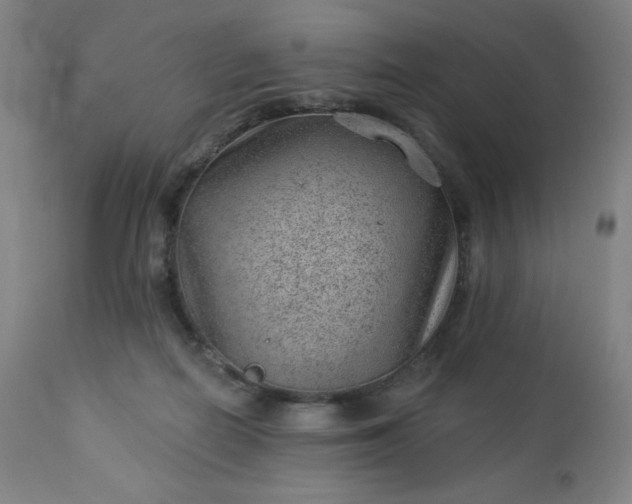 X0000112920266200909080940