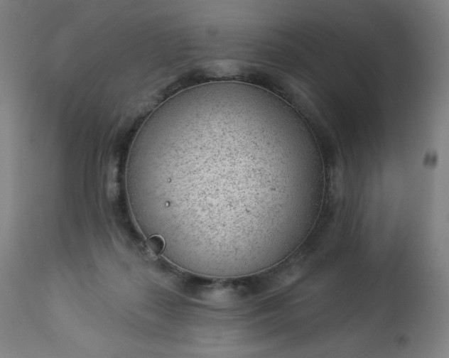 X0000112920267200909080940