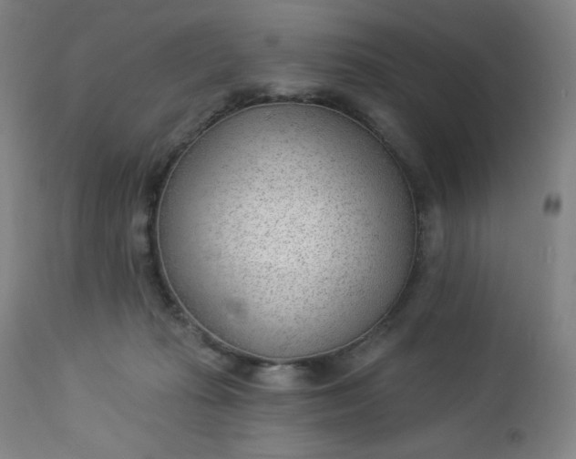 X0000112920269200909080940