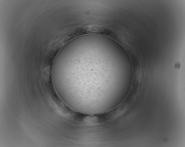 X0000112920271200909080941