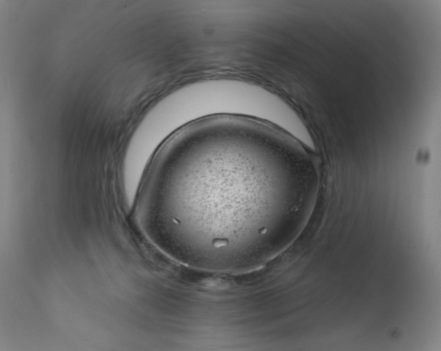 X0000112920272200909080941