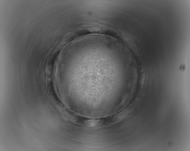 X0000112920273200909080941