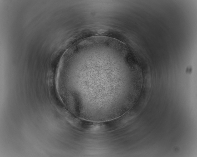 X0000112920274200909080941
