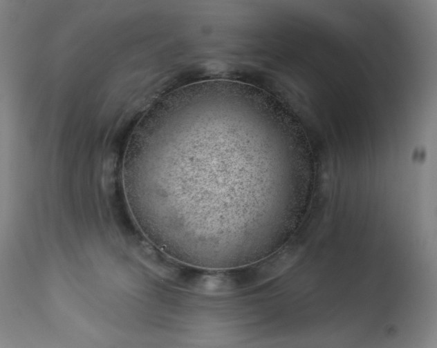 X0000112920275200909080941