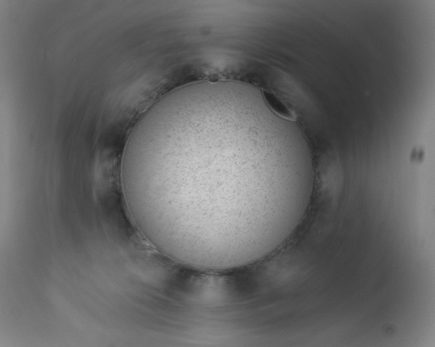 X0000112920276200909080941