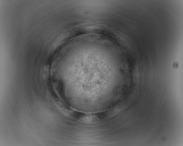 X0000112920278200909080941