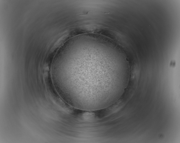 X0000112920279200909080941