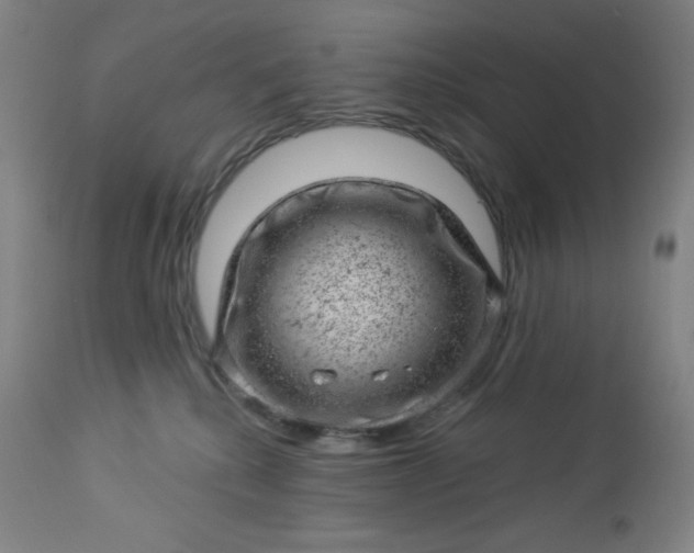 X0000112920280200909080941