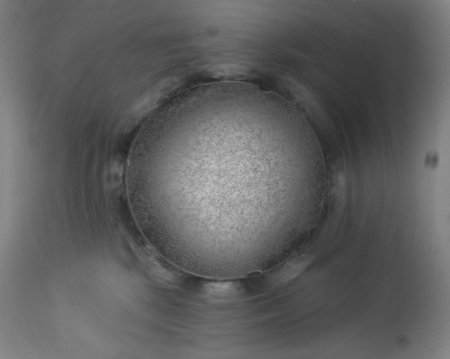 X0000112920281200909080941