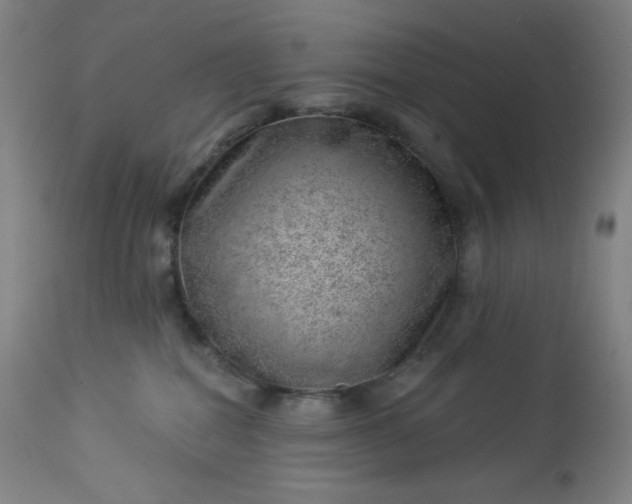X0000112920282200909080941