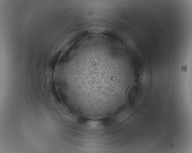 X0000112920283200909080941