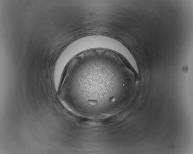 X0000112920284200909080941