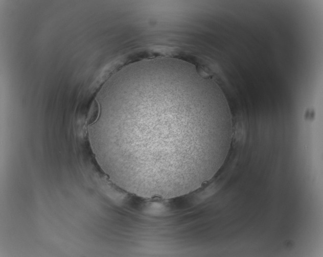 X0000112920285200909080941