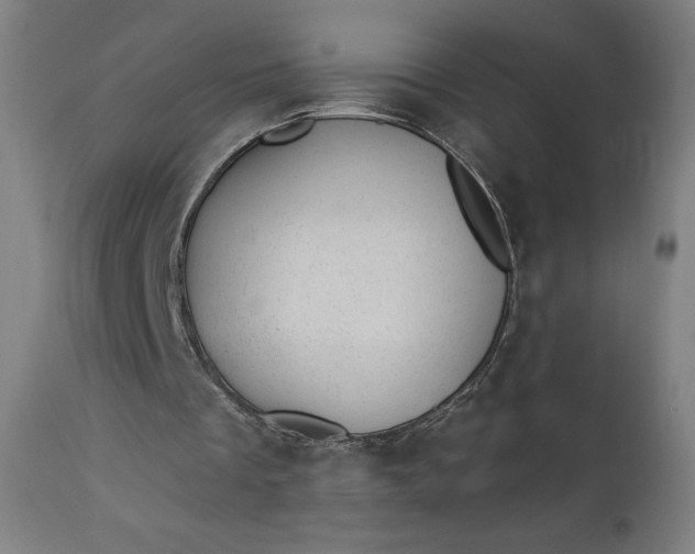X0000112920289200909080940