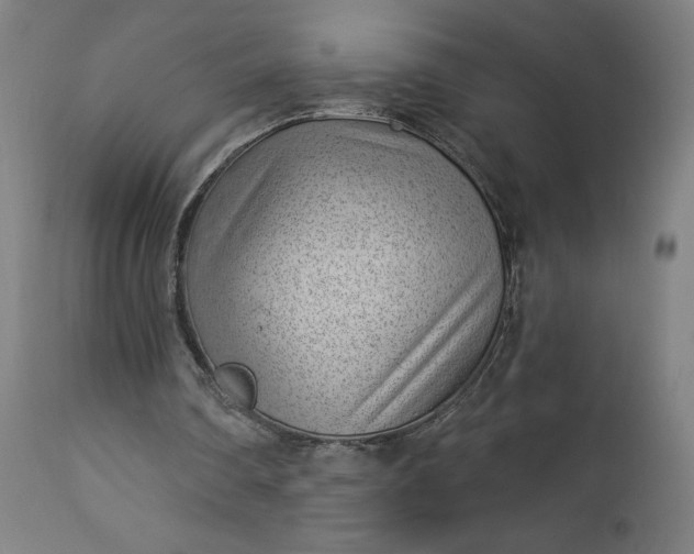 X0000112920290200909080940