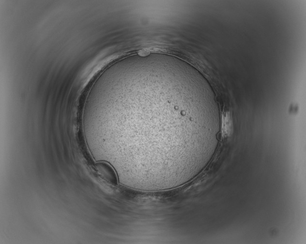 X0000112920291200909080940