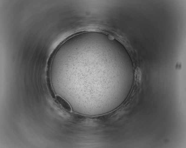 X0000112920292200909080940