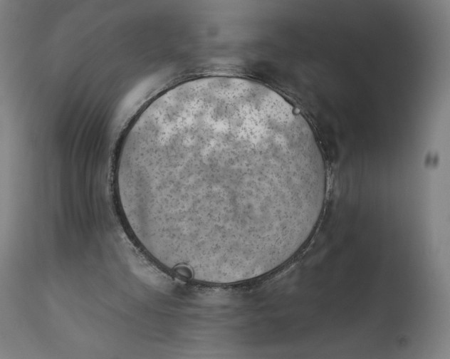 X0000112920293200909080940