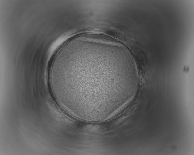 X0000112920294200909080940