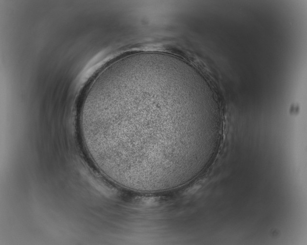 X0000112920295200909080940