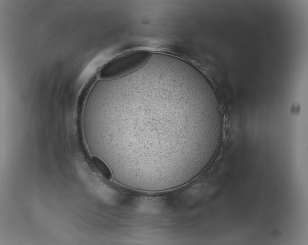 X0000112920296200909080940