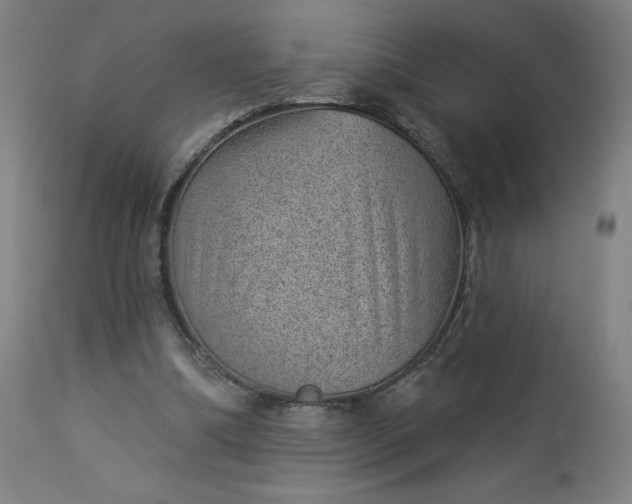 X0000112920298200909080940