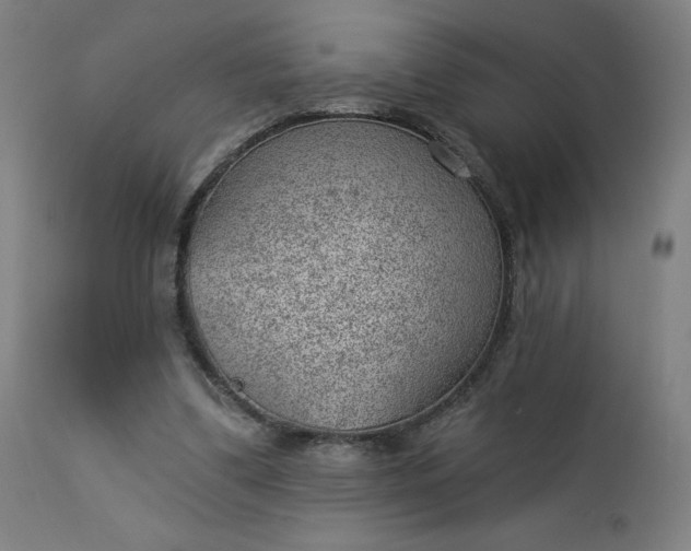 X0000112920299200909080940
