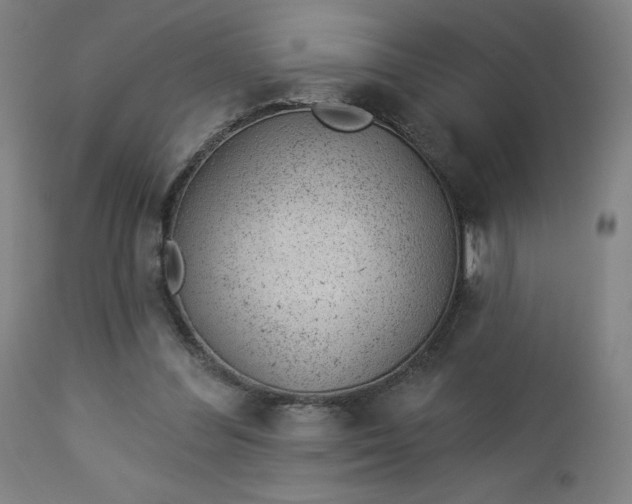 X0000112920300200909080940